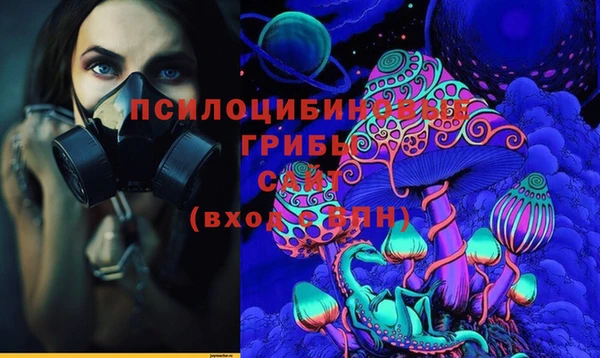 тгк Гусев