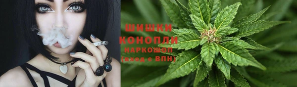 метадон Богданович