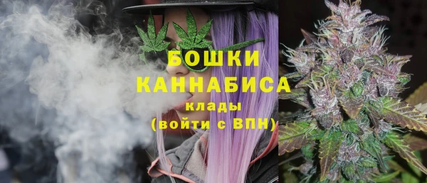 ECSTASY Богородицк
