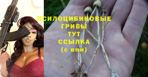 стафф Богородск