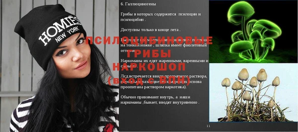 ECSTASY Богородицк